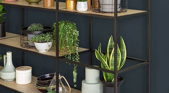 Designregal LIUM - Im Überblick - Funktion