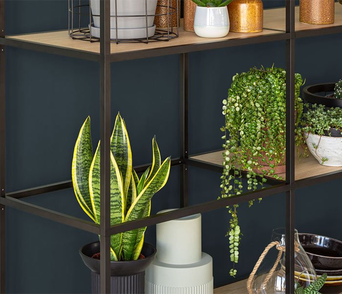 Designregal LIUM - hier Regal Industrial kaufen | REGALRAUM